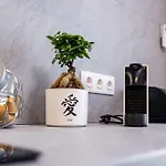 Montblanc Luxury Complex And Apartment